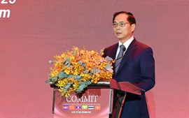 Thúc đẩy hợp tác Tiểu vùng Mekong mở rộng trong ngăn chặn, đẩy lùi tội phạm mua bán người