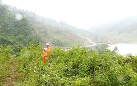 Gần 99% khách hàng miền Trung đã có điện trở lại sau lũ