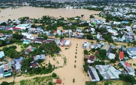 Triển khai tất cả các biện pháp cấp bách cần thiết để ứng phó với mưa lũ đặc biệt lớn tại Khánh Hòa, Đắk Lắk và Gia Lai