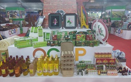 Xây dựng thương hiệu OCOP đưa sản phẩm làng nghề phát triển