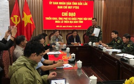 Hơn 3.000 người tại 28 xã, phường ở Đắk Lắk cần sơ tán khẩn cấp