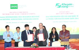 'Cánh đồng xanh, công nghệ sạch': Lúa chất lượng cao mở tương lai mới cho ĐBSCL