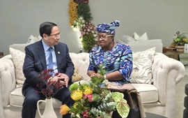 Thủ tướng Phạm Minh Chính gặp lãnh đạo các nước, các tổ chức quốc tế