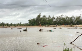 Nhiều khu vực ở Đắk Lắk chưa thể đóng điện trở lại