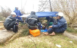 Ứng phó thiên tai trên diện rộng: Yêu cầu bảo đảm hạ tầng thông tin an toàn