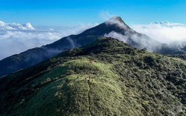 Ngắm biển mây cuồn cuộn, núi rừng nguyên sơ từ 'nóc nhà' Quảng Trị