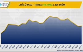 THỊ TRƯỜNG HÀNG HÓA: Diễn biến trái chiều, cung - cầu tiếp tục chi phối giá