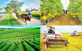 Kiện toàn thành viên BCĐ Trung ương các chương trình mục tiêu quốc gia 2021 - 2025