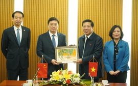 Thương mại Việt Nam – Quảng Tây vượt 42 tỷ USD: Tăng trưởng nhờ kết nối hạ tầng