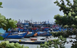 Các địa phương miền Trung chủ động ứng phó bão số 15