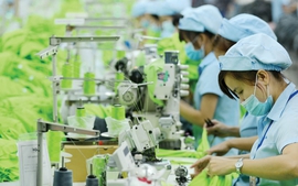 Chuyển đổi xanh là điều kiện tồn tại của tăng trưởng