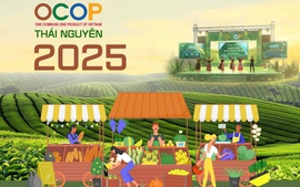 Hội thi 'OCOP Thái Nguyên - Chắt lọc tinh hoa - Lan tỏa bản sắc'
