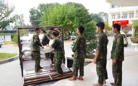 Gia Lai: Công bố tình huống khẩn cấp về thiên tai tại 77 xã, phường