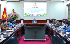 Rà soát kỹ lưỡng, xử lý dứt điểm bất cập trong hợp nhất văn bản