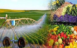 Sửa Luật Thuế GTGT: Khơi thông hoàn thuế, giảm áp lực vốn cho nông nghiệp và xuất khẩu