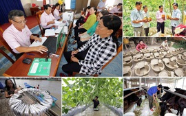 NHCSXH giảm lãi suất cho vay các chương trình tín dụng chính sách từ ngày 1/12