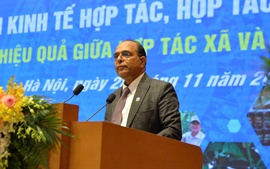 Kinh nghiệm liên kết nông nghiệp: Nhìn từ mô hình hợp tác xã sữa của Ấn Độ