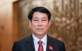 Chủ tịch nước gửi điện nhân Ngày quốc tế đoàn kết với Nhân dân Palestine