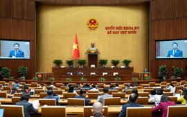 Sửa đổi Luật Giá để phù hợp với chính quyền địa phương 2 cấp và thực tiễn quản lý giá