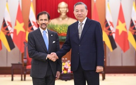 Tổng Bí thư Tô Lâm tiếp Quốc vương Brunei Darussalam Haji Hassanal Bolkiah