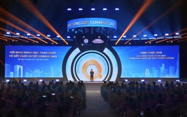 Cần có chiến lược toàn diện nhằm kiểm soát dịch bệnh sốt xuất huyết