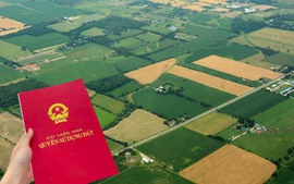 Nhiều thửa đất chung một Giấy chứng nhận, làm thủ tục cấp đổi thế nào?