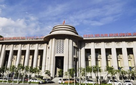 NHNN triển khai chương trình hỗ trợ khách hàng vùng bão lũ