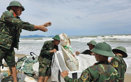 Nỗ lực dựng kè chắn sóng, bảo vệ bờ biển Hội An trước bão Kalmaegi