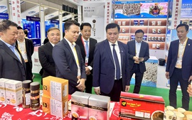 Đưa hàng Việt tiếp cận người tiêu dùng Trung Quốc qua Hội chợ CIIE 2025