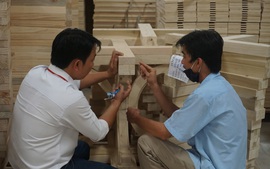 Ngành Lâm nghiệp: Hướng tới phát triển bền vững, hiện đại và đa giá trị