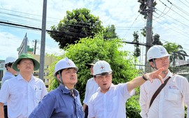 Đảm bảo điện miền Nam: EVNSPC quyết liệt trong công tác đầu tư xây dựng