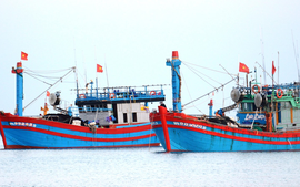 Thanh Hóa: Cần nâng cấp hệ thống VMS để chống khai thác IUU