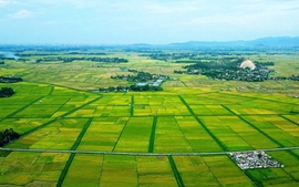 Chỉ đạo, điều hành của Chính phủ, Thủ tướng Chính phủ ngày 7/11/2025 (1)