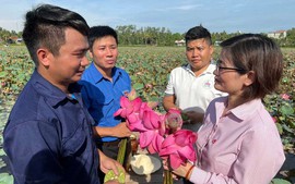 Tín dụng chính sách ủy thác qua các hội, đoàn thể: Nhanh, chính xác và hiệu quả