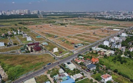 Vi phạm sử dụng đất sau 1/7/2014 có được cấp Giấy chứng nhận?