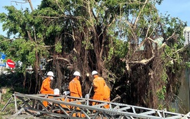 Hơn 1,6 triệu khách hàng bị mất điện do ảnh hưởng của bão số 13