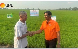 Hợp lực vì nền nông nghiệp xanh, hiện đại và bền vững