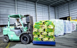 PVCFC khẩn cấp hỗ trợ vật tư chống lũ tại Đà Nẵng và Đắk Lắk