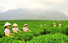 Sắp diễn ra Ngày hội sản phẩm vùng đồng bào dân tộc thiểu số và miền núi phía bắc