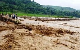 Khẩn trương khắc phục hậu quả của bão số 13; sẵn sàng ứng phó mưa lũ những ngày tới