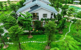 Thưởng thức cuộc sống tại biệt thự rừng lần đầu tiên được Ecopark ra mắt
