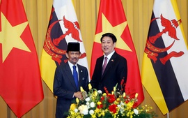 Chủ tịch nước Lương Cường hội đàm với Quốc vương Brunei