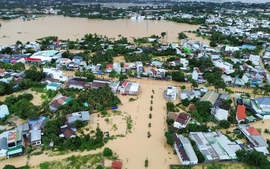 Giải quyết chính sách bảo hiểm thất nghiệp cho người lao động, doanh nghiệp bị ảnh hưởng mưa lũ