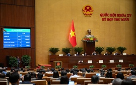 Hoàn thành cung cấp sách giáo khoa miễn phí đến năm 2030