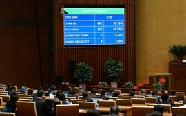 Cắt giảm 38 ngành nghề kinh doanh có điều kiện, sửa đổi 20 ngành nghề