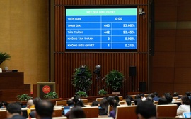 Đà Nẵng được trao thêm cơ chế đặc thù về khu thương mại tự do, thúc đẩy TOD