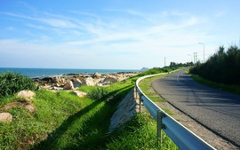 Chỉ đạo, điều hành của Chính phủ, Thủ tướng Chính phủ ngày 11/12/2025