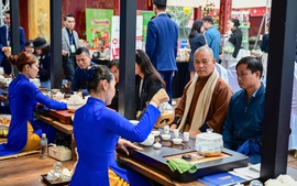 Liên hoan Trà quốc tế lần đầu tiên được tổ chức tại Huế