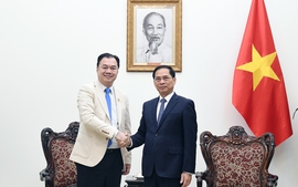 Phó Thủ tướng Bùi Thanh Sơn tiếp Phó Chủ tịch Tập đoàn Phongsupthavy (Lào)