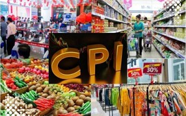 Chỉ đạo, điều hành của Chính phủ, Thủ tướng Chính phủ ngày 12/12/2025